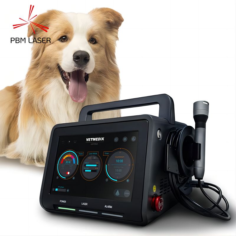 Apa Kondisi sing Bisa Digunakake Laser Veterinary kanggo Nambani?