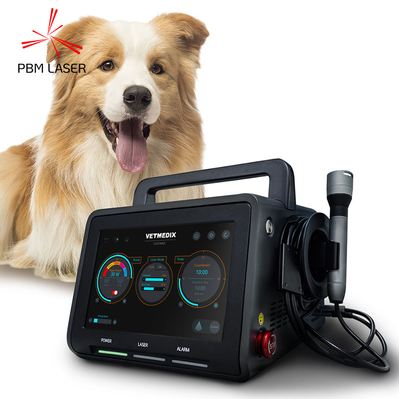 30W Laser Terapi Nyeri Pet Anjing 450nm 650nm 810nm 808nm 915nm 1064nm